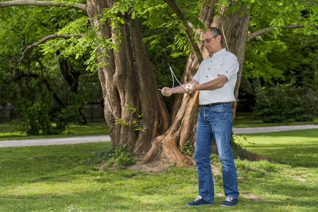 Wasseradern und andere Störzonen ruten