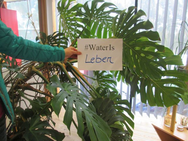 #wateris Leben
