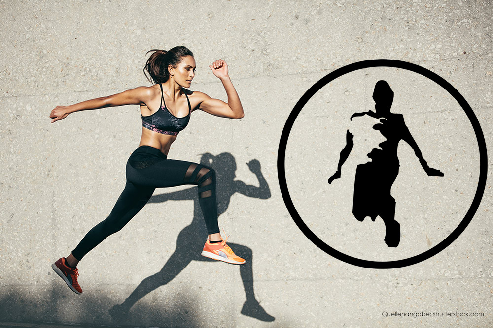 Flexyfit Sports Academy